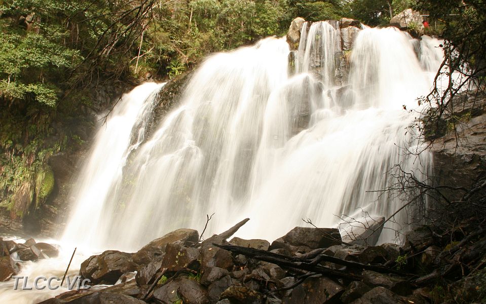 16-More views of Snobs Creek Falls.JPG